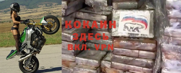кокаин Богданович
