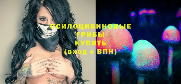 кокаин Богданович