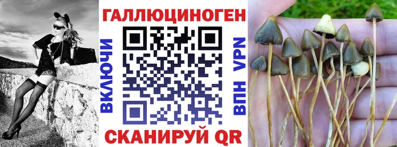 Псилоцибиновые грибы Magic Shrooms  omg ТОР  Ачхой-Мартан 